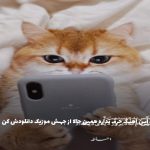 دانلود آهنگ خدا کوشی از مهراد هیدن و آرتا “نسخه اصلی”